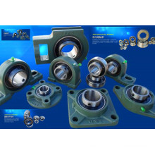 Pillow Block Bearings (UC)